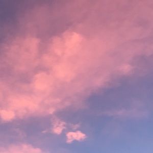 Meet your Posher, Maya